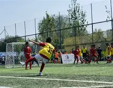 开云集团中国 -庐州战狼队对阵闽南朱雀队,足球淘汰赛爆冷,门将神扑救主——重拾自信的夜晚(爆冷什么意思)