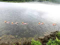 开云登陆入口 - 今日张名扬迎战ufc冠军视频 