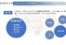 闈炴床涔熸湁浼侀箙