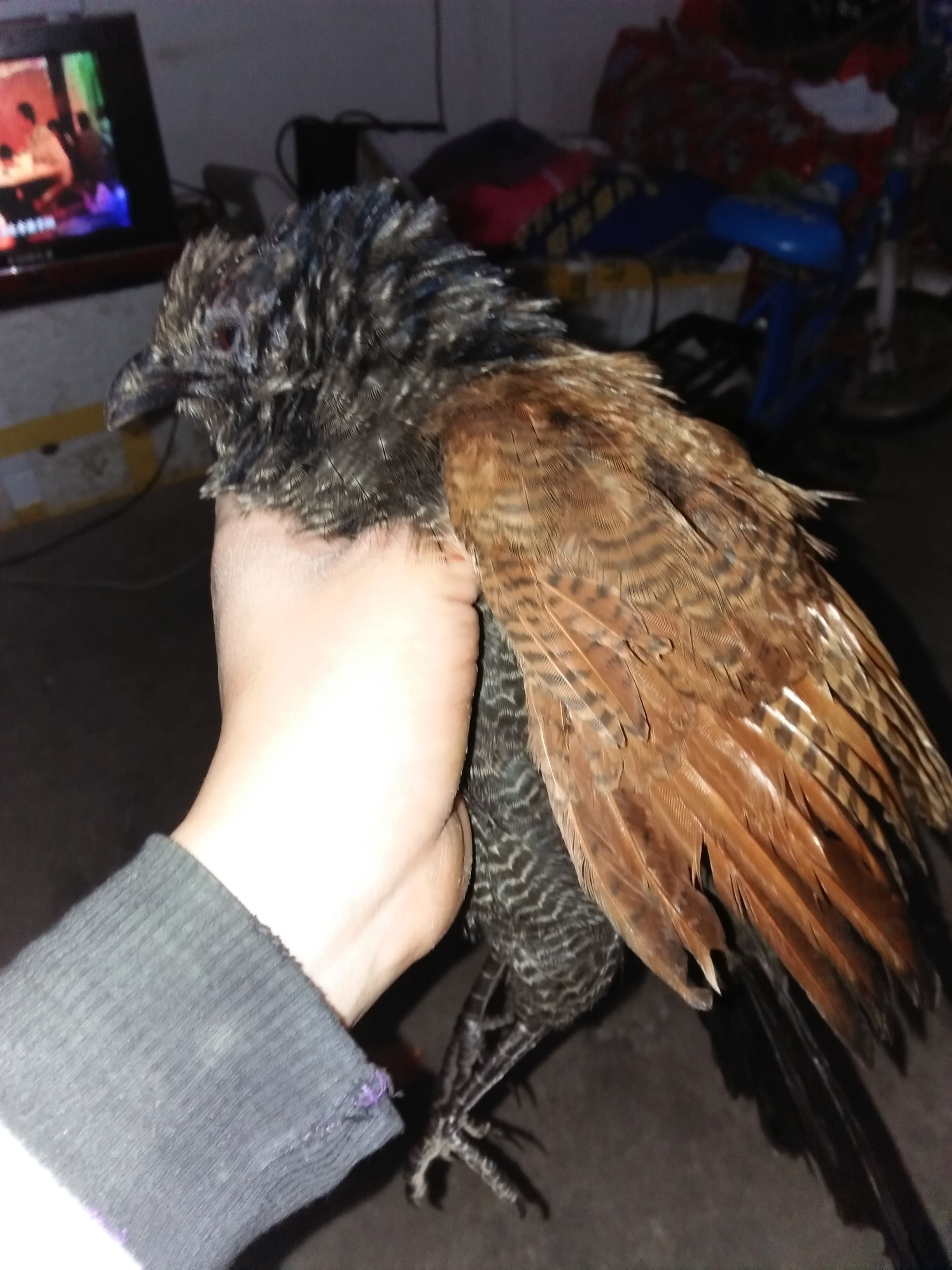 开云登陆入口 -}繦骧?抸?闙#(?徠枋~I浱6X9櫟^(?e;-蟬?齜4鴝?鰳軞次&amp;舙Zr?_佼玩齨ly=&amp;筗r{洐i勺j?N迹Sa鏤YГq娝Ag燝??v#L点??様们磭伃sf?#K?^u>毥蠧+岶c?-K?^T衏Ds?_X欐i靀縔ヤ謐$巸LiD;?的简单介绍