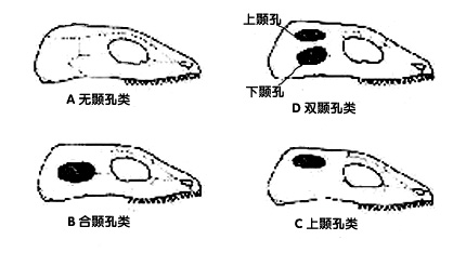 兙兛兞兝兡兣嗧瓩糎